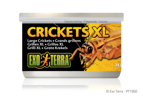 exo-terra-crickets-xl-1-2-oz