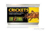 exo-terra-crickets-1-2-oz