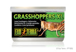 exo-terra-grasshoppers-xl-1-2-oz
