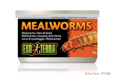 exo-terra-mealworms-1-2-oz