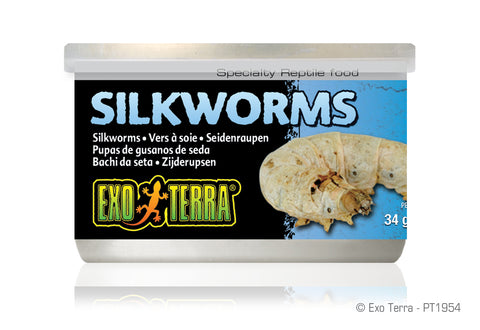 exo-terra-silkworms-1-2-oz