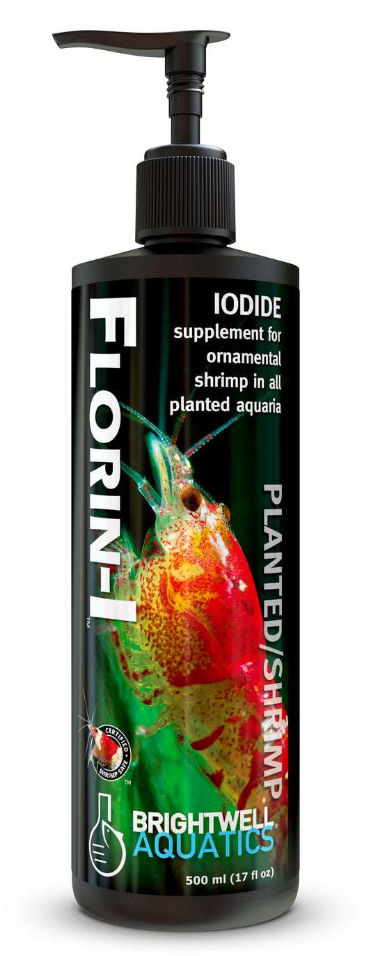 brightwell-aquatics-shrimp-florin-i