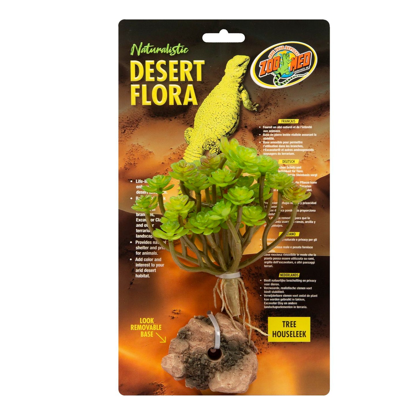 tree houseleek succulent Zoo Med Naturalistic Desert Flora Tree Houseleek Plant – KensFish.com