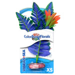blue-ribbon-colorburst-florals-butterfly-sword-plant-xsmall