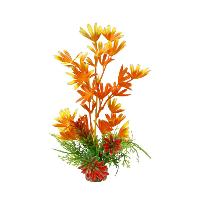 blue-ribbon-colorburst-florals-bush-plant-orange-large