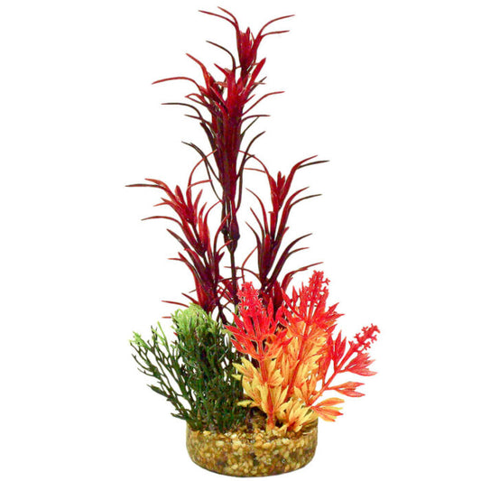 blue0ribbon-colorburst-florals-seagrass-bouquet-plant-red