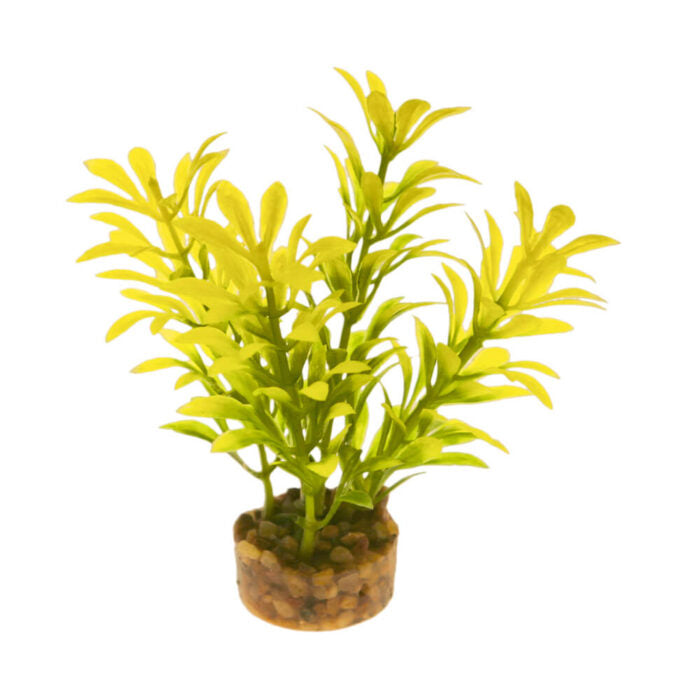 blue -ribbon-colorburst-florals-laurel-leaf-plant-yellow