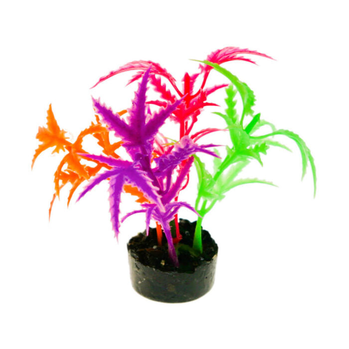 blue-ribbon-pet-colorburst-florals-jagged-sword-plant