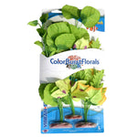 blue-ribbon-colorburst-florals-broad-leaf-flowering-cluster-variety-pack
