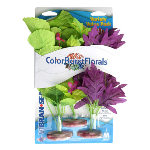 blue-ribbon-colorburst-florals-amazon-flowering-cluster-variety-pack
