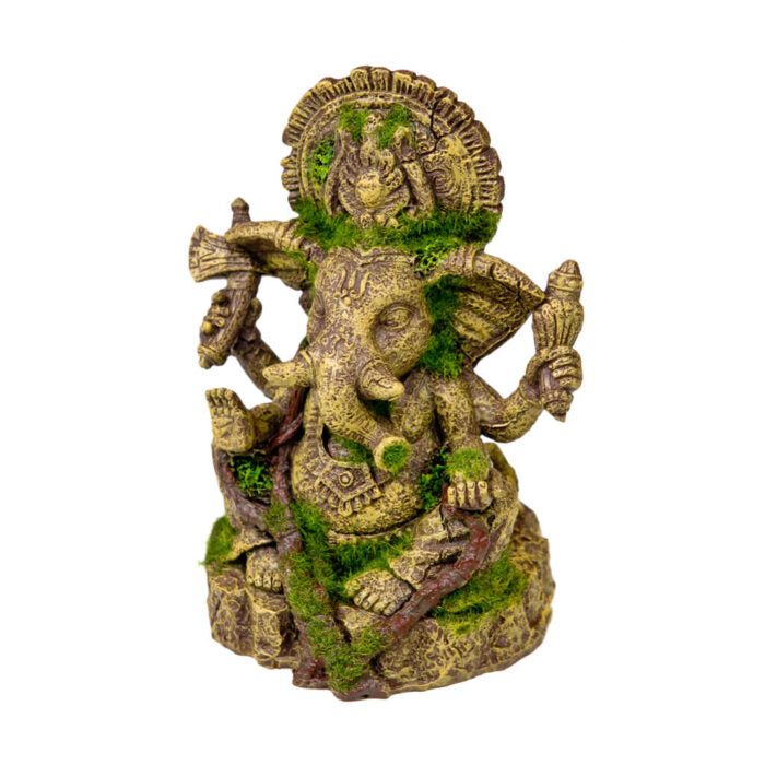 blue-ribbon-exotic-environments-ganeshe-statue-moss