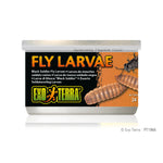 exo-terra-black-soldier-fly-larvae
