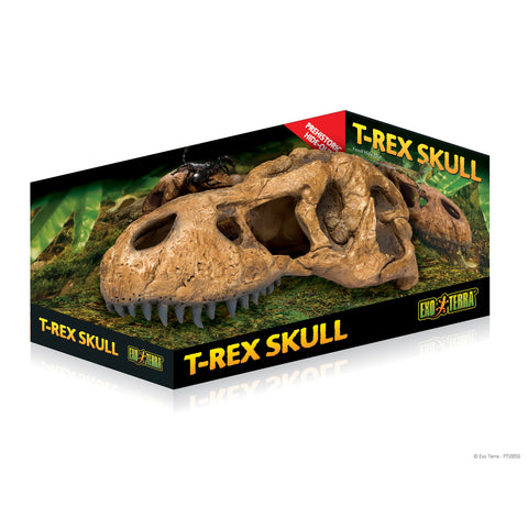 exo-terra-trex-skull-hide-out