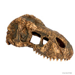 exo-terra-t-rex-skull-small