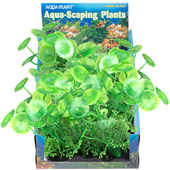 penn-plax-bunch-plant-pennywort-medium