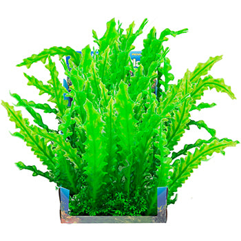 penn-plax-bunch-plant-wavy-edge-sword-large