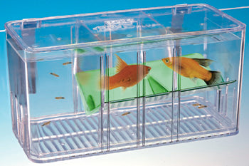 Penn Plax 5 Way Breeder Trap – Kensfish.com