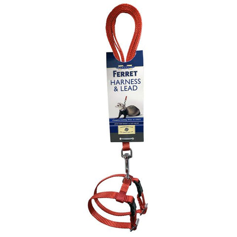 marshall-ferret-harness-lead-red