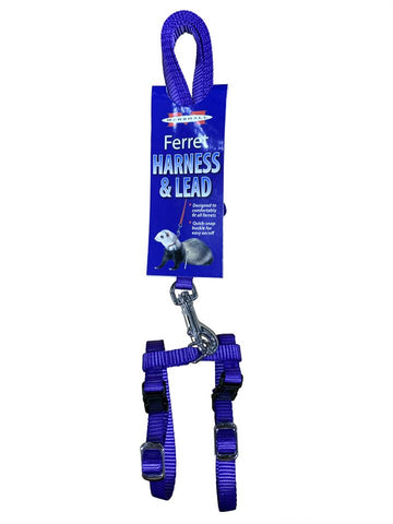 Marshall Ferret Harness & Lead Blue