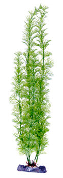 Penn Plax Flowering Cabomba Plant 18 Inch