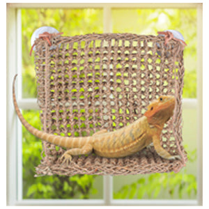 penn-plax-window-lizard-lounger