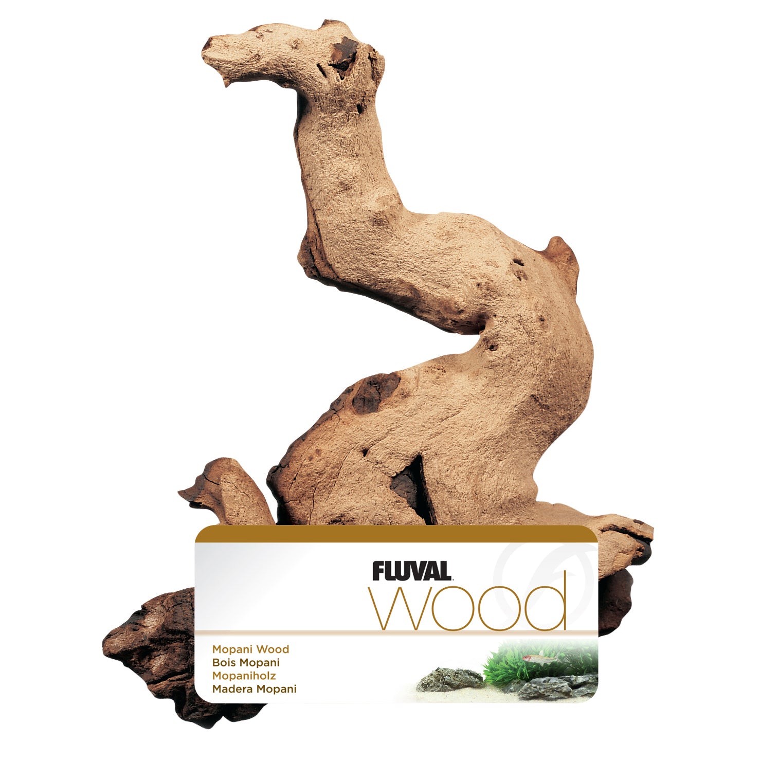 geosystems-mopani-driftwood-small