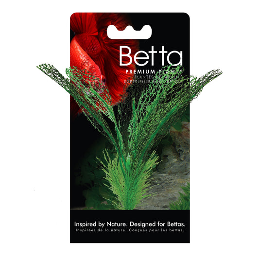 fluval-betta-madagascar-lace0plant-6-inch