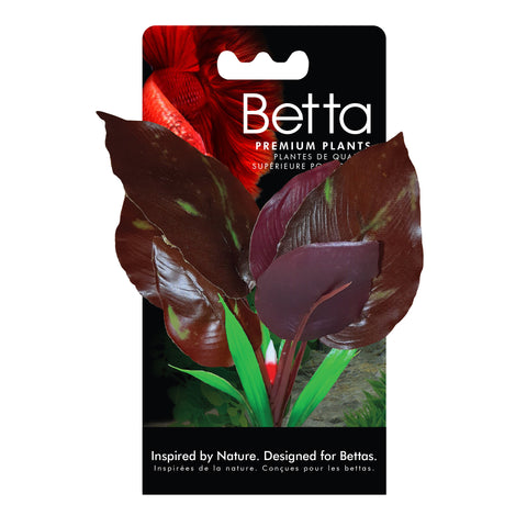 fluval-betta-red-lizard-plant-6-inch