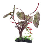 fluval-red-lotus-plant-10-inch