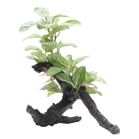 fluval-african-shade-leaf-root-8-inch