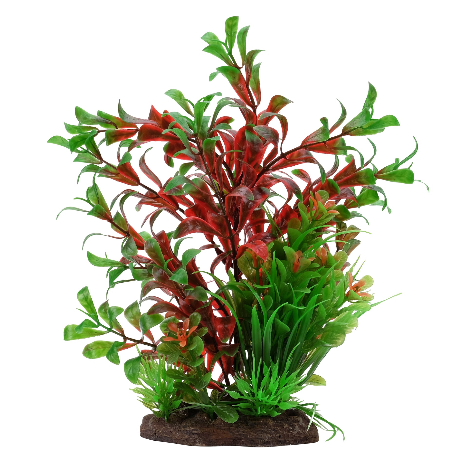 fluval-aqualife-ludwigia-dwarf-sagittarius-mix-8-inch