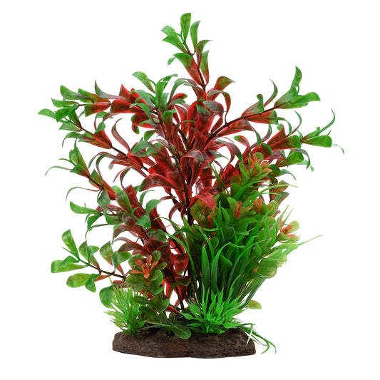 fluval-aqualife-ludwigia-dwarf-sagittarius-mix-8-inch