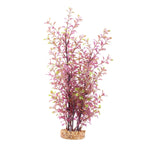 fluval-aqualife-plant-scapes-red-ludwigia-plant-14-inch