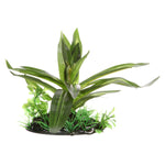 fluval-giant-sagittaria-plant-4-inch