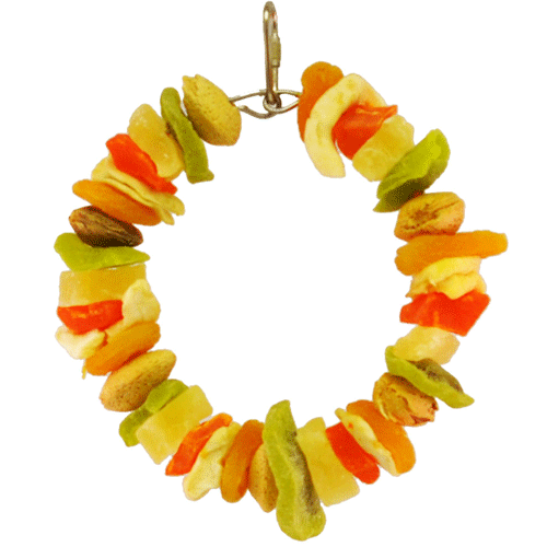 happy-beaks-tropical-delight-fruit-ring