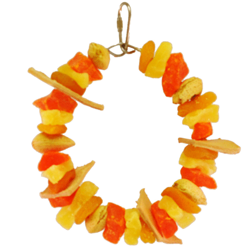 happy-beaks-tropical-delight-fruit-ring