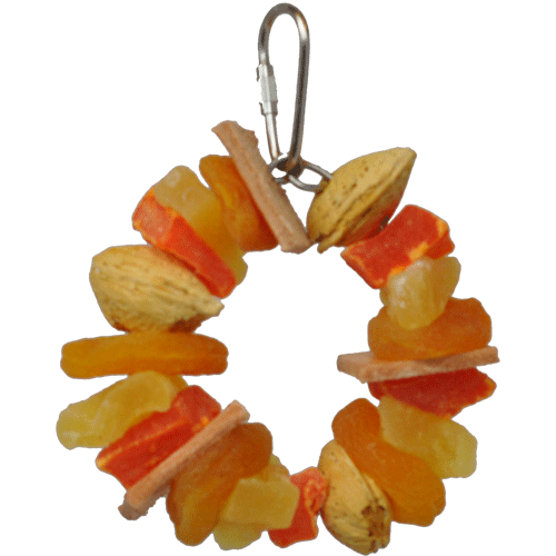 happy-beaks-tropical-delight-fruit-nut-ring-jr