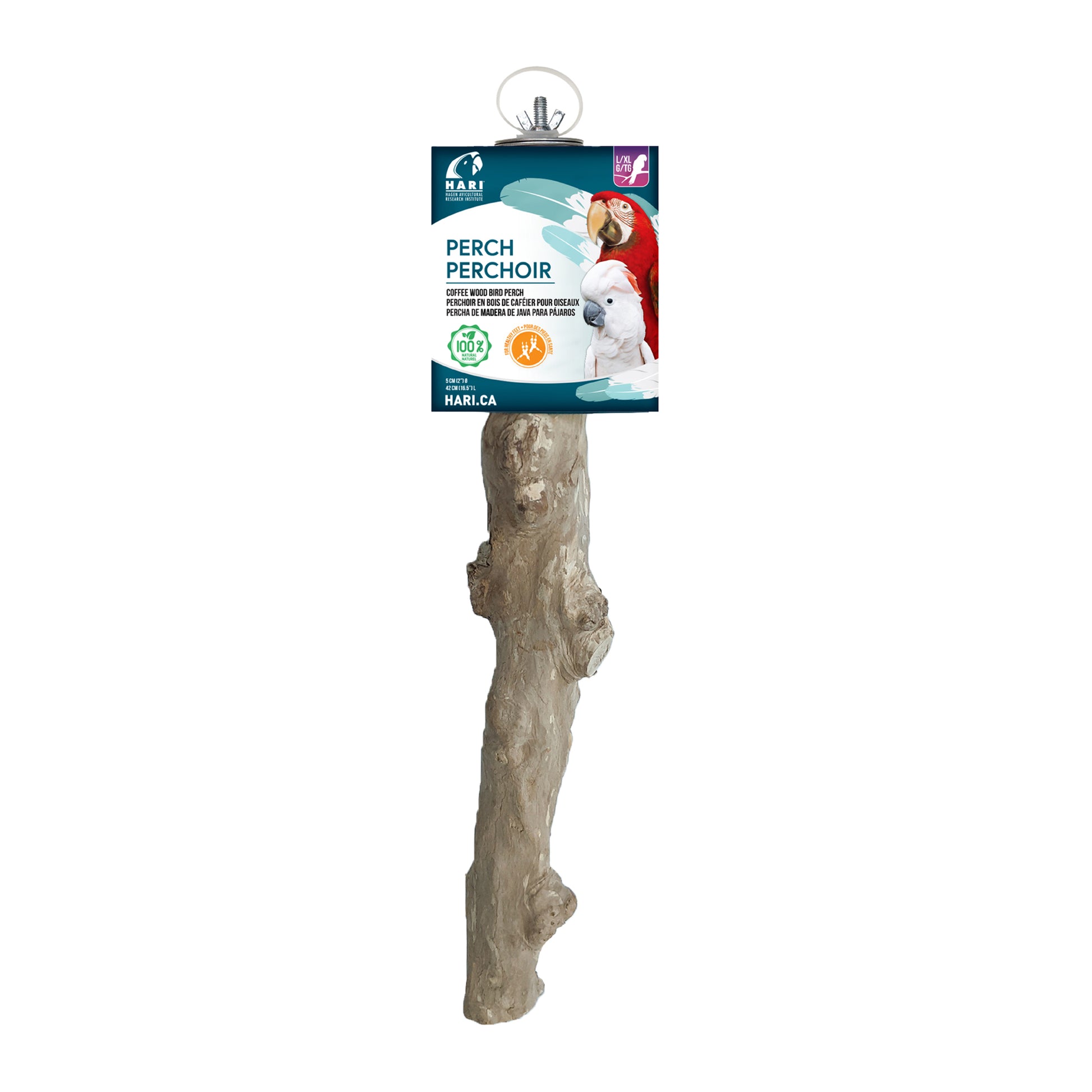 hari-java-coffee-wood-bird-perch-large-16-5x2-inch