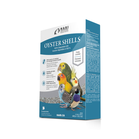hari-oyster-shells-15-5-oz