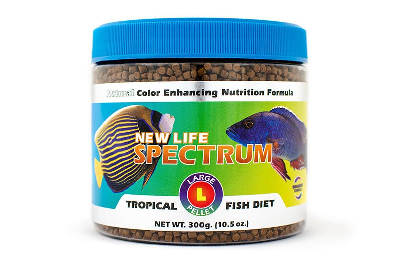 dihexa nootropicssourceshelf life 10 MG NewHope Wellness Advisors DIHEXA - Beverly Hills Rejuvenation
