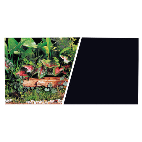 marina-background-green-plants-solid-black-12-inch