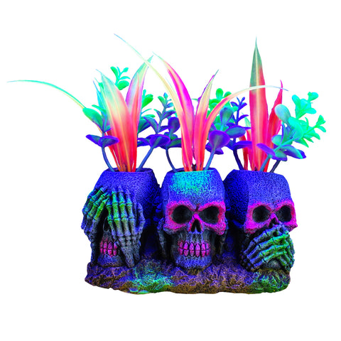 marina-iglo-3-skulls-plants-3-inch