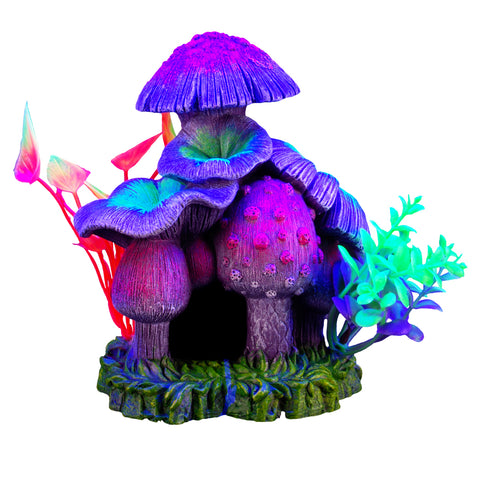 marina-iglo-mushroom-house-plants-6-inch
