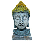 marina-buddha-head