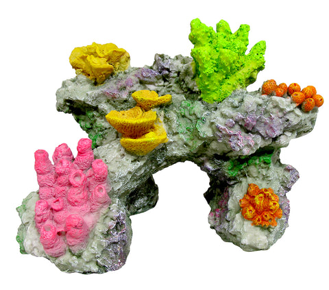 marina-coral-reef-rock-medium