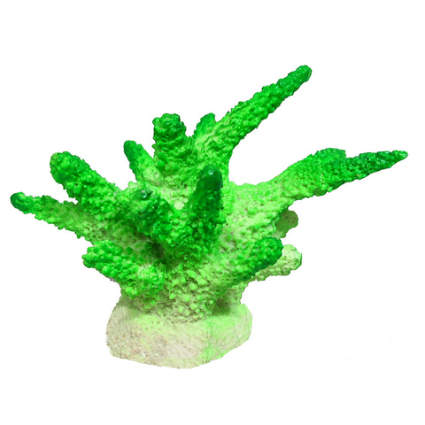 marina-green-finger-coral