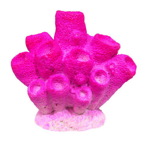 marina-pink-sponge-coral