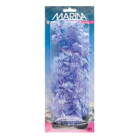 marina-hornwort-baby-blue-plant-12-inch