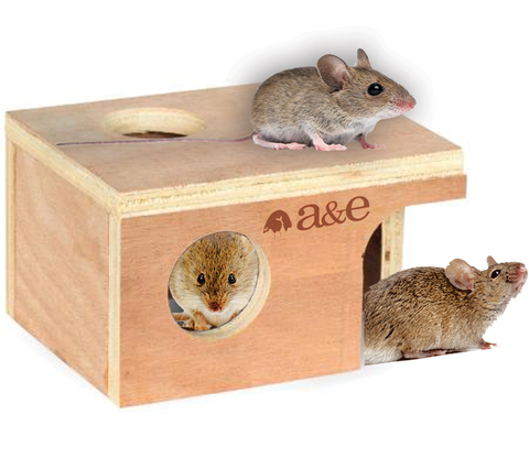 a-e-nibbles-mouse-hut-small