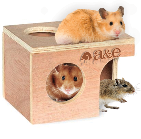 a-e-nibbles-hamster-gerbil-hut-medium
